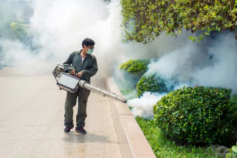 Mosquito Control Sebastopol