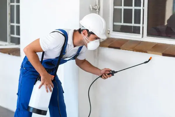 Pest Control Sebastopol